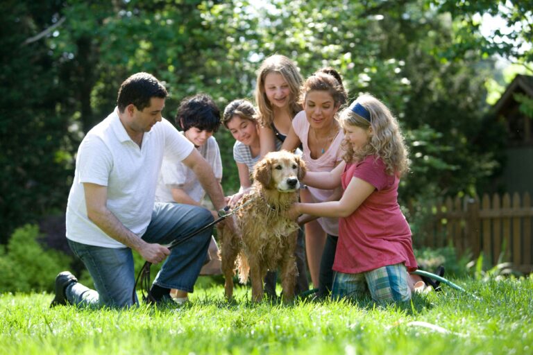 🐾 The Beginner’s Guide to Eco-Friendly Pet Parenting (Checklist Inside!)