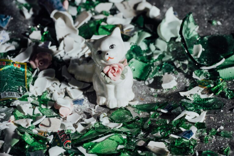 🐾 How to Choose Eco-Friendly Cat Litter Without Compromising Cleanliness
