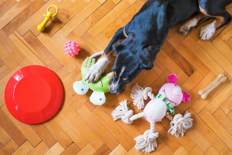 🧸 Top 7 Eco-Friendly Dog Toys That Are Safe & Fun